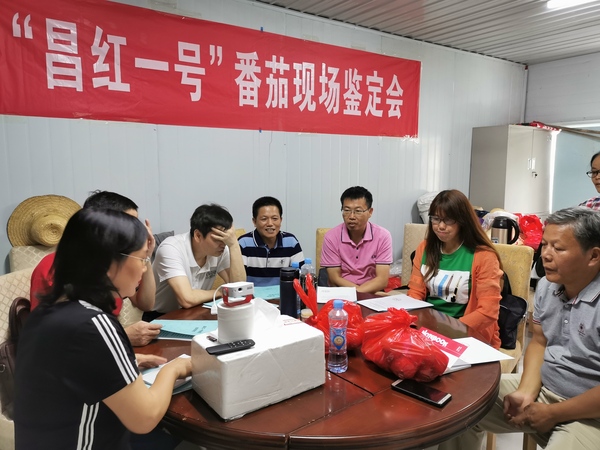 汇报现场.jpg
