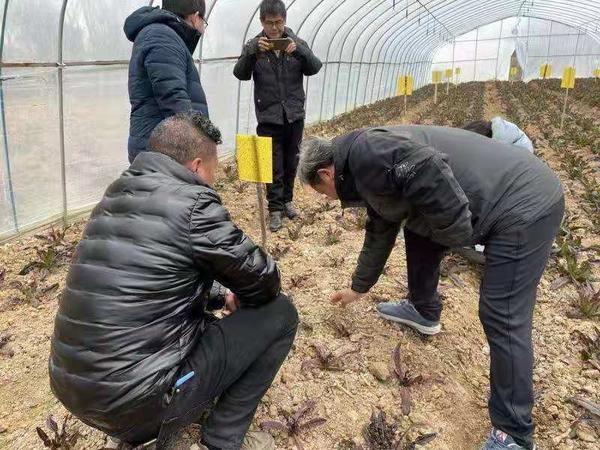 图片3.jpg